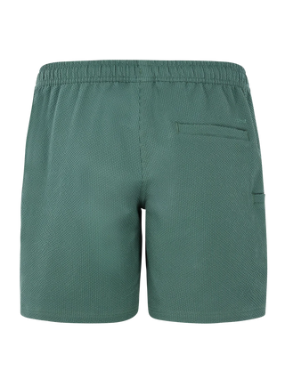 Protest PRTAgaat 25 Swimming Shorts